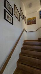 Belgravia Villas (D28), Terrace #475415231